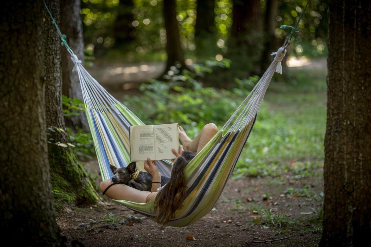 Forest Camping モジリェ エクステリア 写真