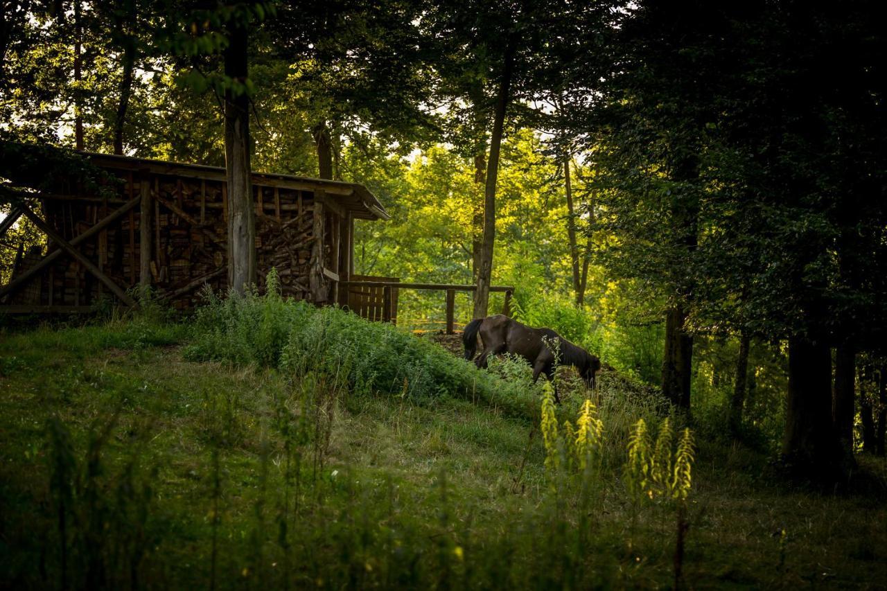 Forest Camping モジリェ エクステリア 写真