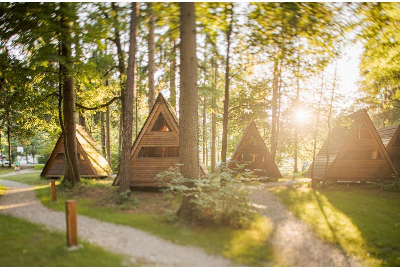 Forest Camping モジリェ エクステリア 写真