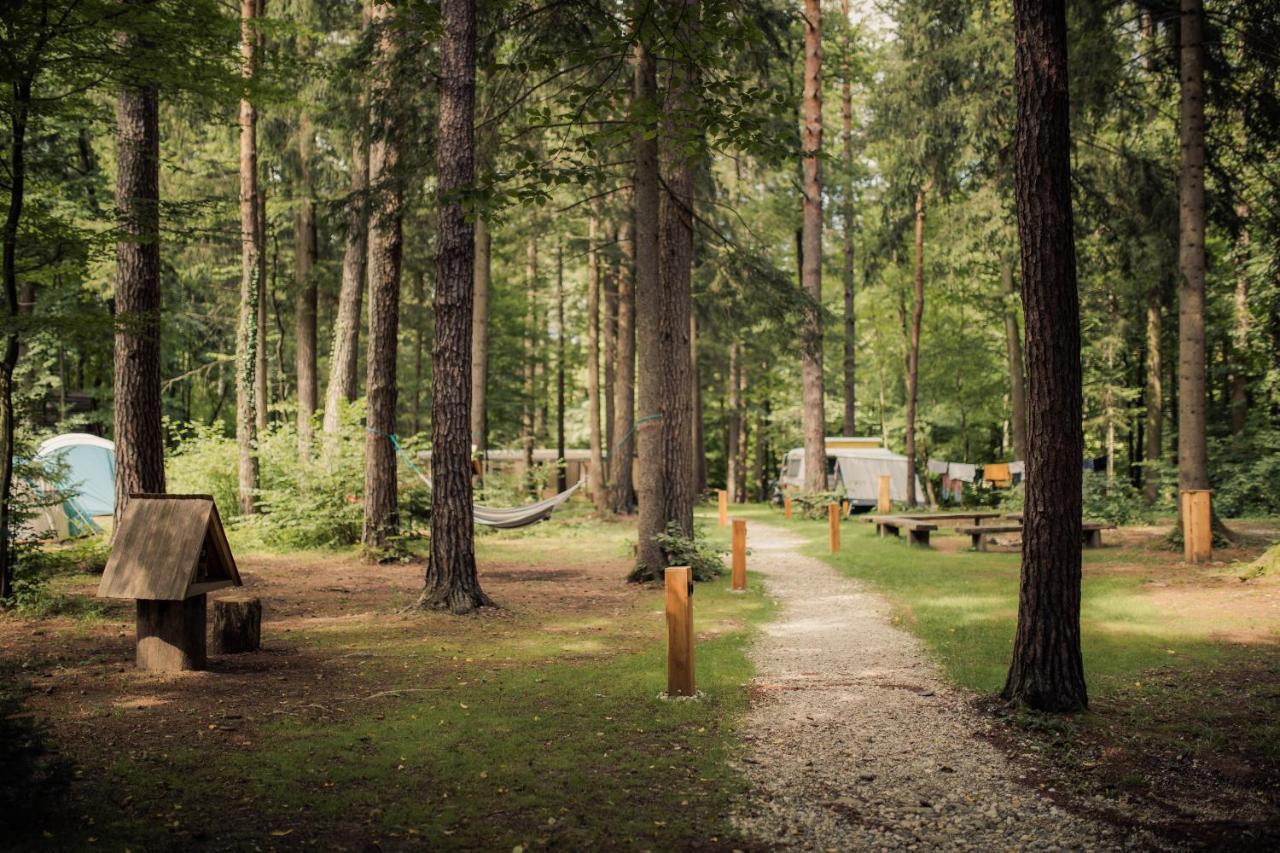 Forest Camping モジリェ エクステリア 写真