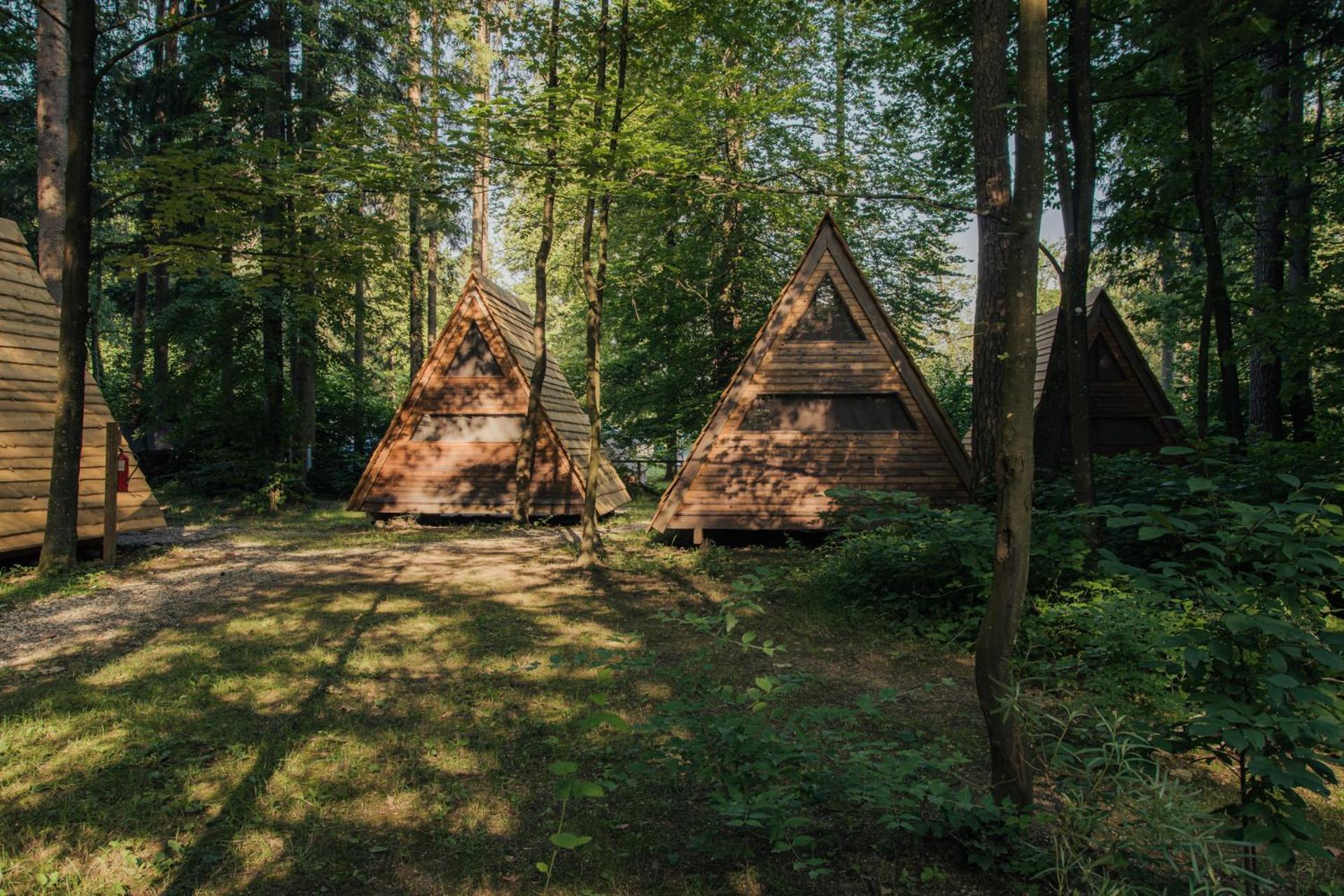 Forest Camping モジリェ 部屋 写真