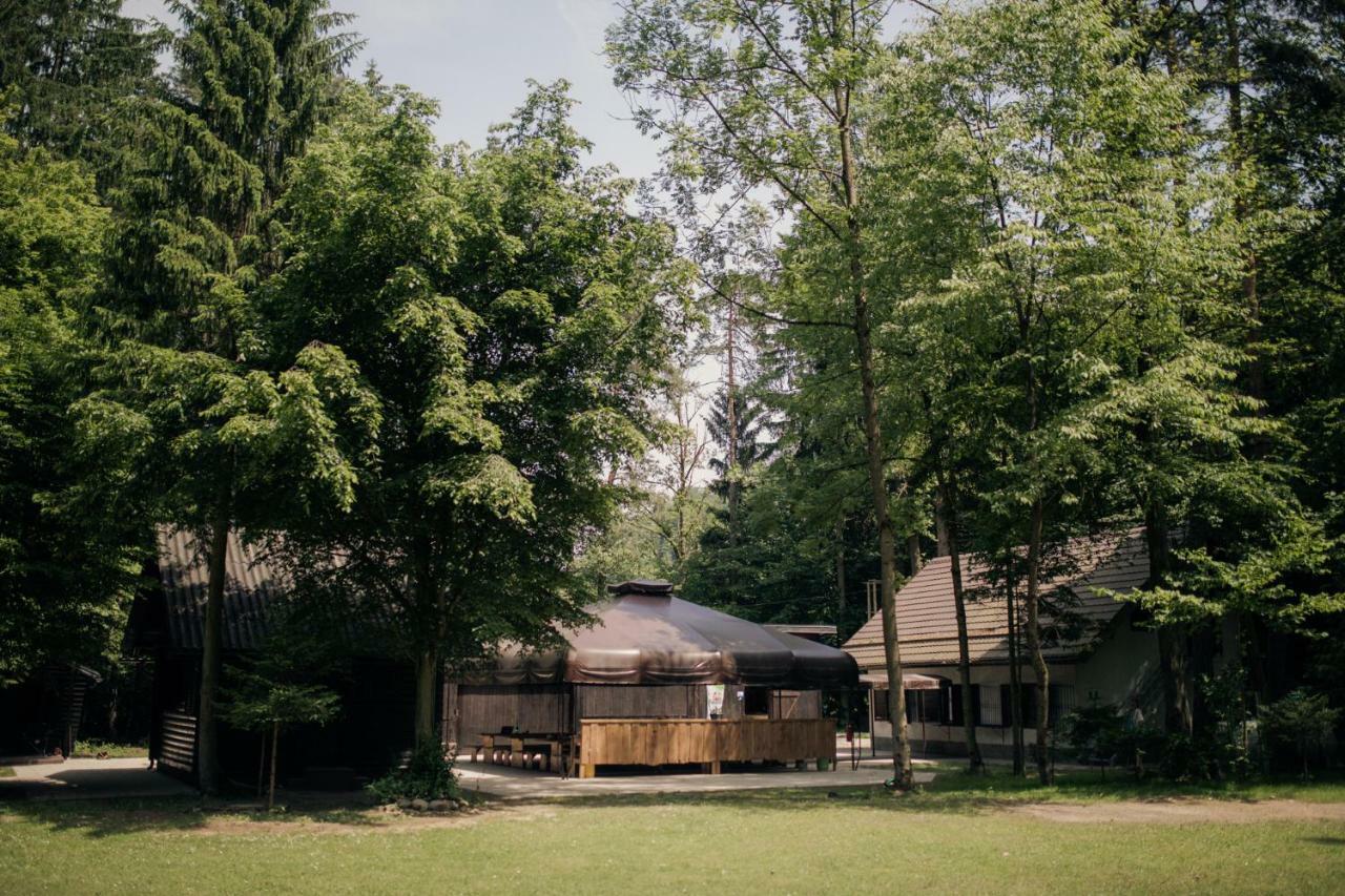 Forest Camping モジリェ エクステリア 写真